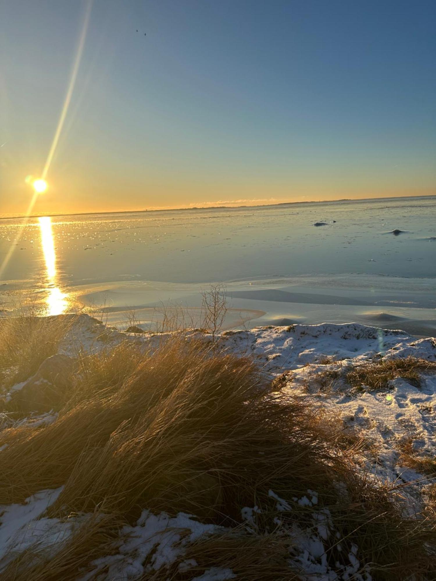 Beach Cabin Hollviken Bagian luar foto